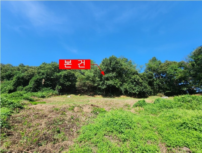 인천지법 2024타경12011-1 사진