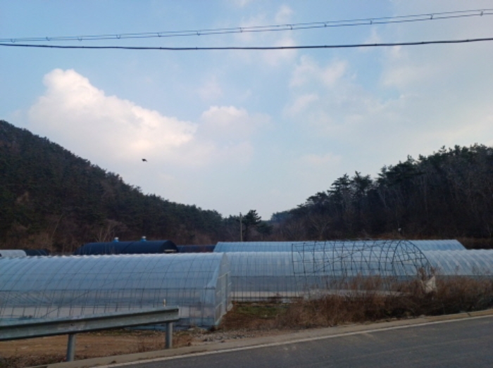 인천지법 2024타경503159-1 사진