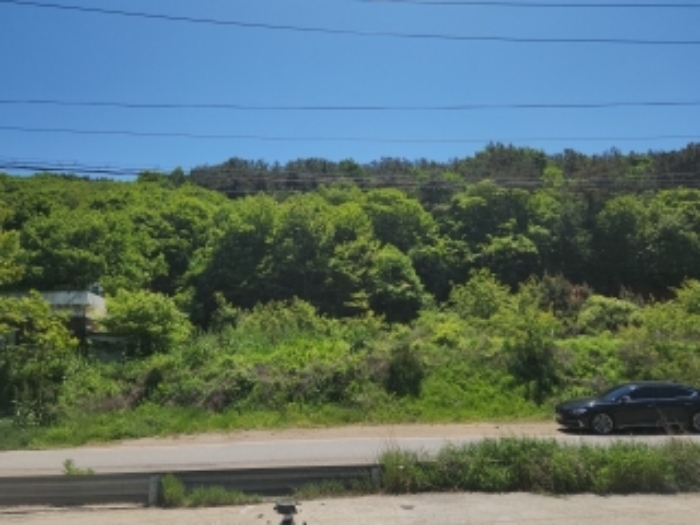 인천지법 2024타경528356-1 사진