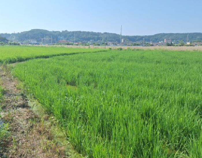 인천지법 2024타경569746-2 사진