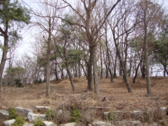 부천지원 2012타경7163-1 사진