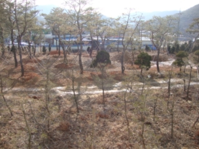 부천지원 2014타경1596-1 사진