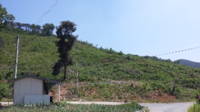 부천지원 2014타경7259-1 사진