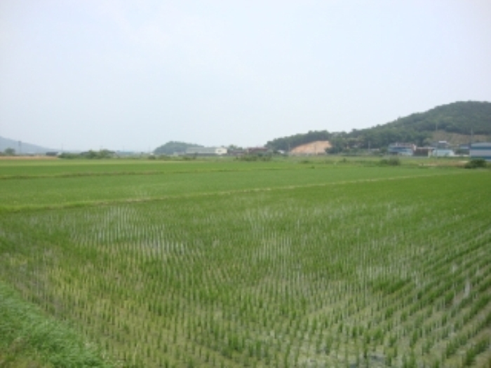 부천지원 2014타경11449-1 사진