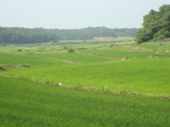 부천지원 2014타경12985-1 사진