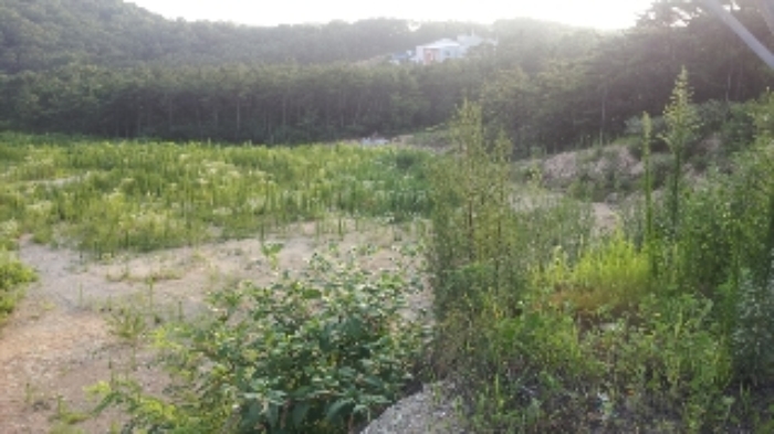 부천지원 2014타경14257-1 사진