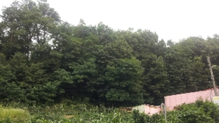 부천지원 2014타경14646-1 사진