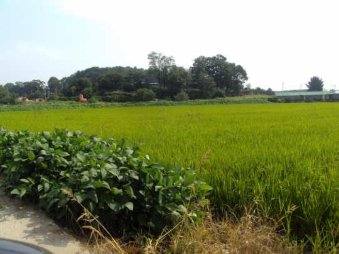 부천지원 2014타경16673-2 사진