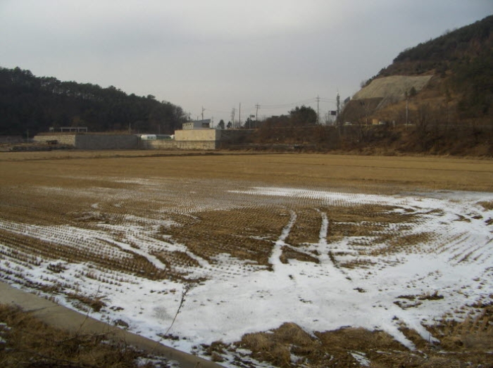부천지원 2015타경606-1 사진
