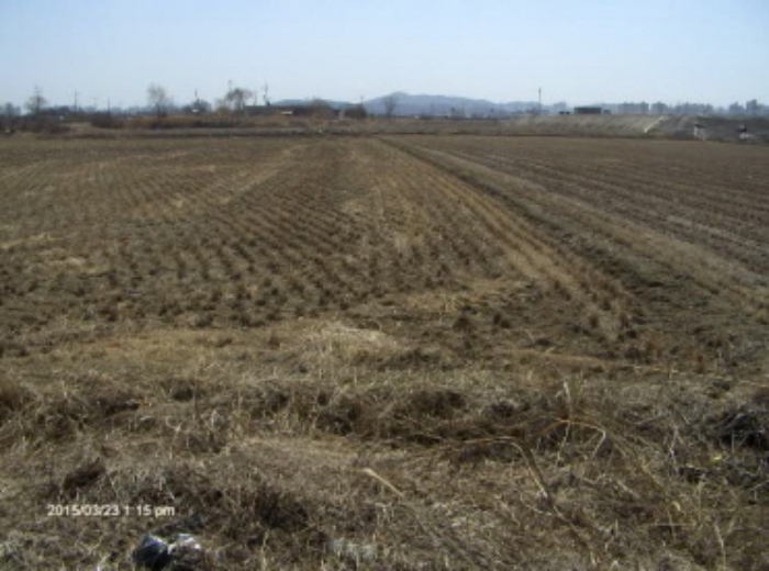 부천지원 2015타경5137-1 사진