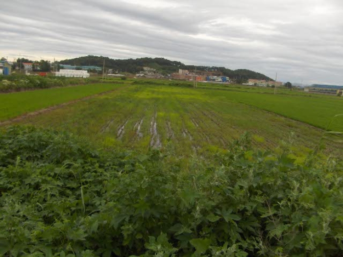부천지원 2015타경7683-1 사진
