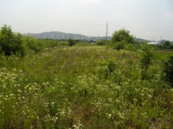 부천지원 2015타경8785-2 사진