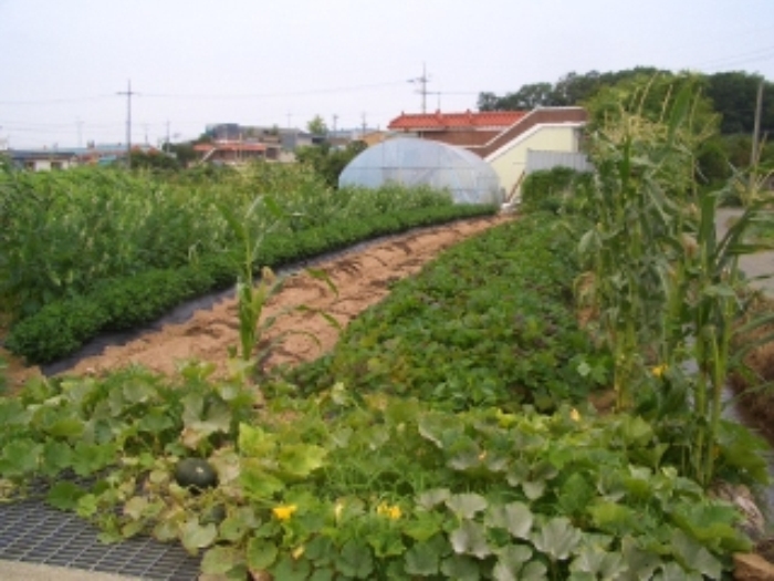 부천지원 2015타경31396-1 사진