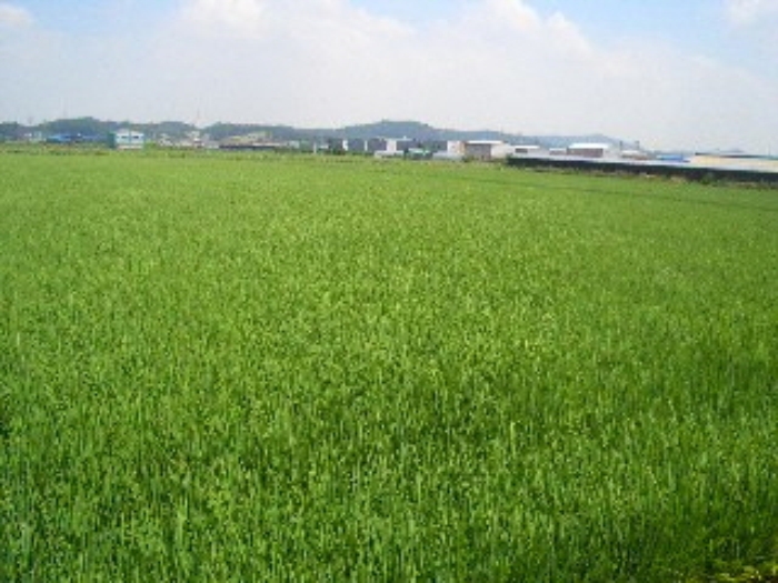 부천지원 2015타경31587-1 사진
