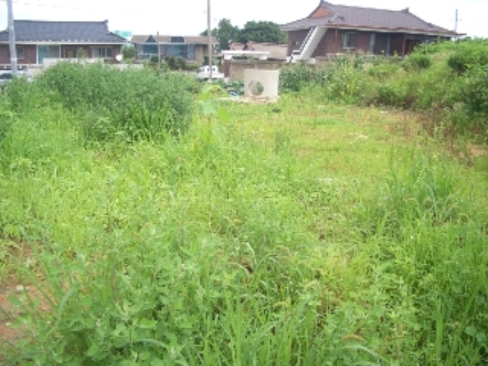부천지원 2016타경7260-1 사진