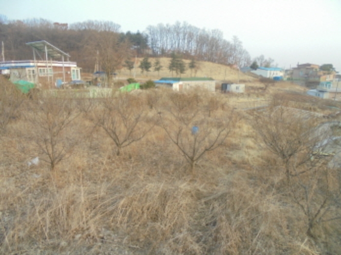 부천지원 2018타경1549-1 사진
