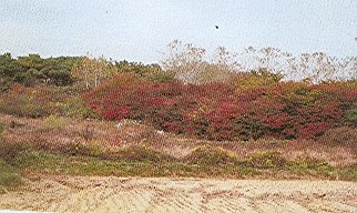 수원지법 2007타경45653-1 사진