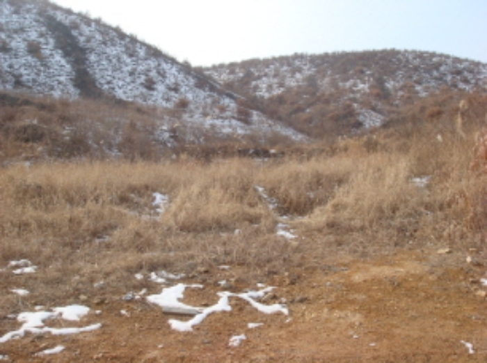 수원지법 2012타경1466-2 사진