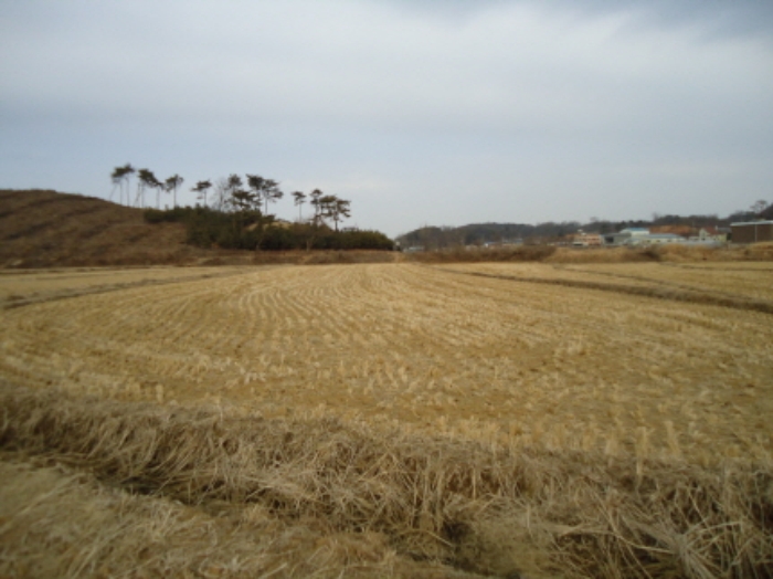 수원지법 2012타경6003-1 사진