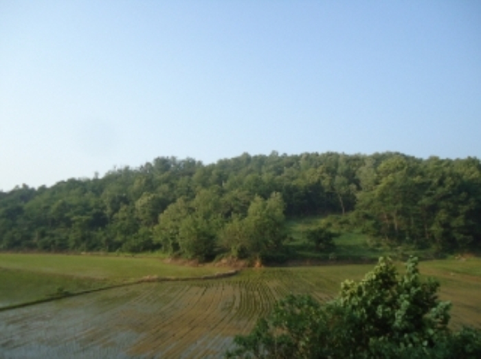 수원지법 2012타경25929-1 사진