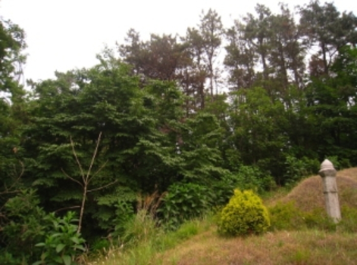 수원지법 2012타경25936-1 사진