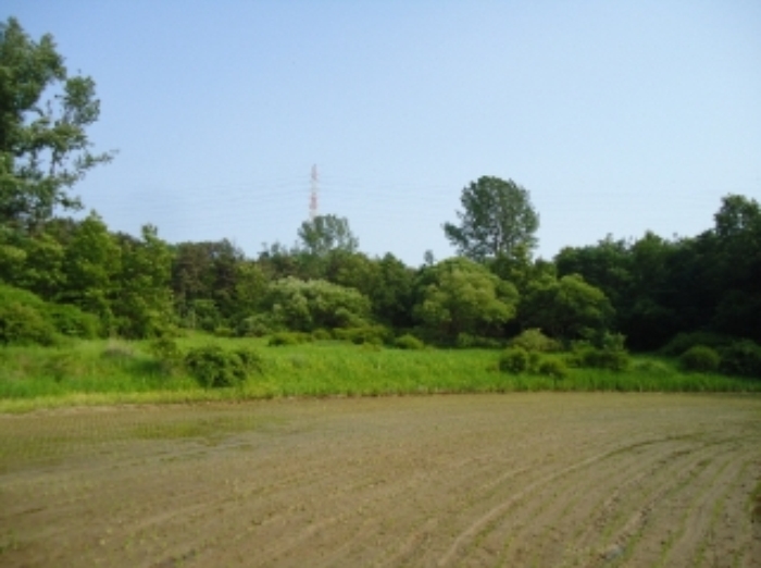 수원지법 2012타경26380-2 사진