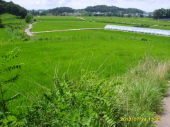수원지법 2012타경35582-1 사진