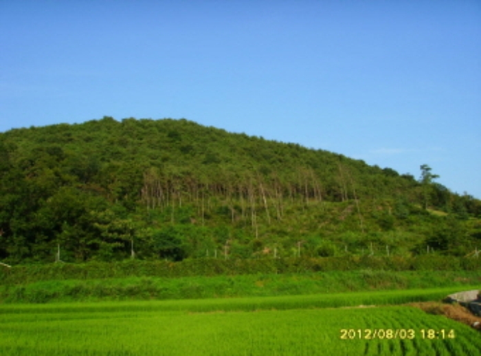 수원지법 2012타경37236-1 사진