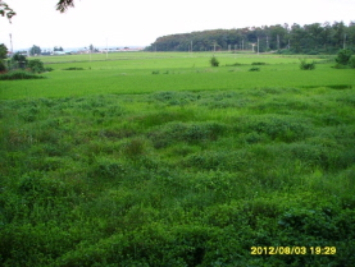 수원지법 2012타경37243-1 사진