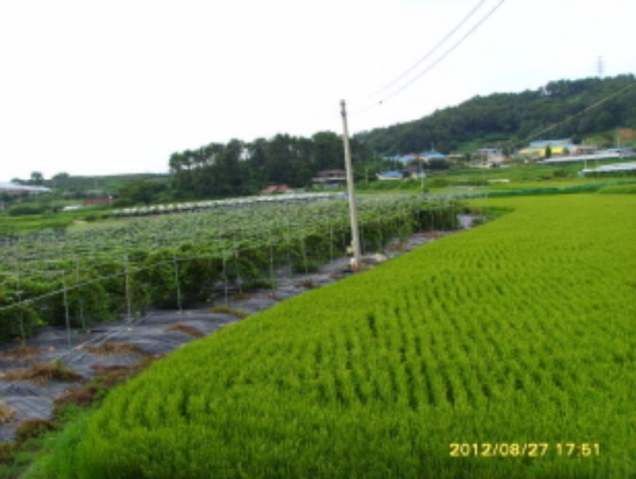 수원지법 2012타경40706-2 사진