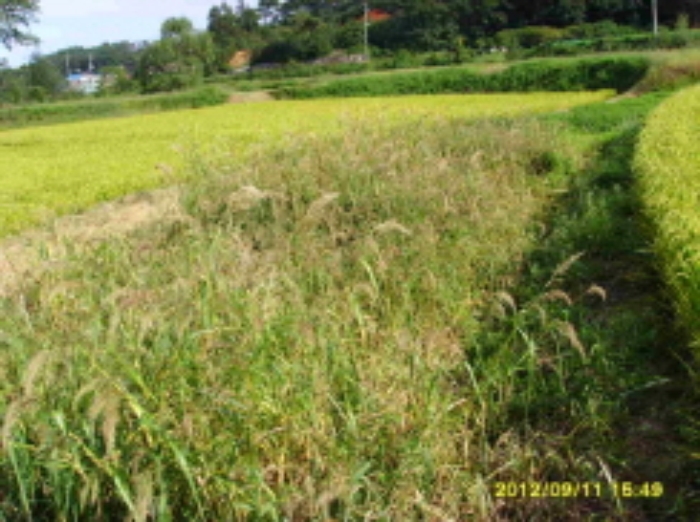 수원지법 2012타경42740-2 사진