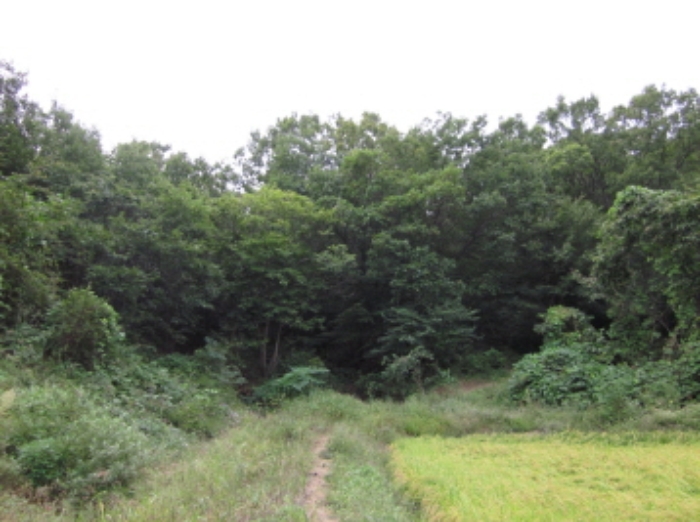 수원지법 2012타경45657-2 사진