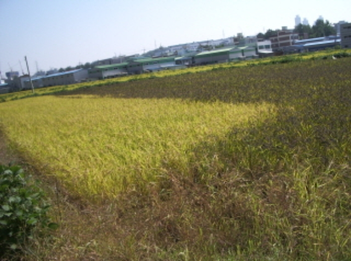 수원지법 2012타경46117-3 사진