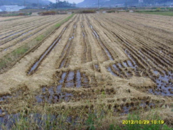 수원지법 2012타경51560-2 사진