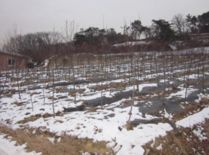 수원지법 2012타경64412-2 사진