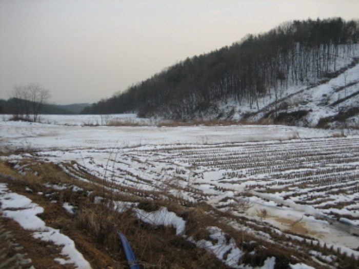 수원지법 2013타경5526-5 사진