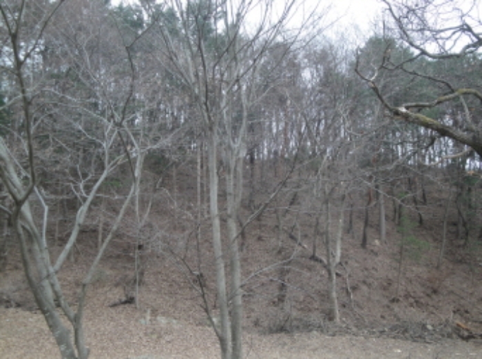 수원지법 2014타경9716-1 사진