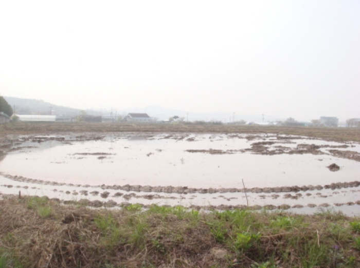 수원지법 2014타경17144-1 사진