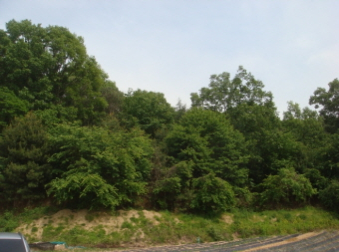 수원지법 2014타경21525-1 사진