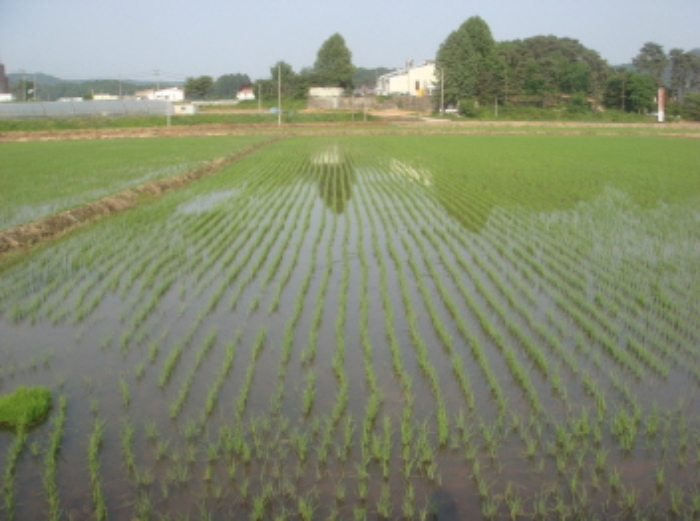 수원지법 2014타경24500-1 사진