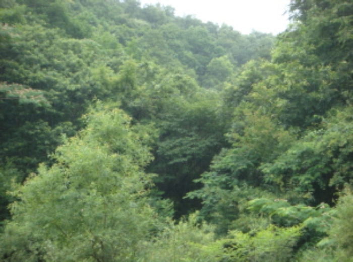 수원지법 2014타경30741-1 사진