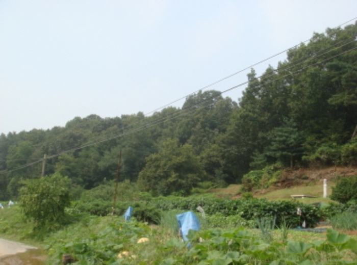 수원지법 2014타경37339-1 사진