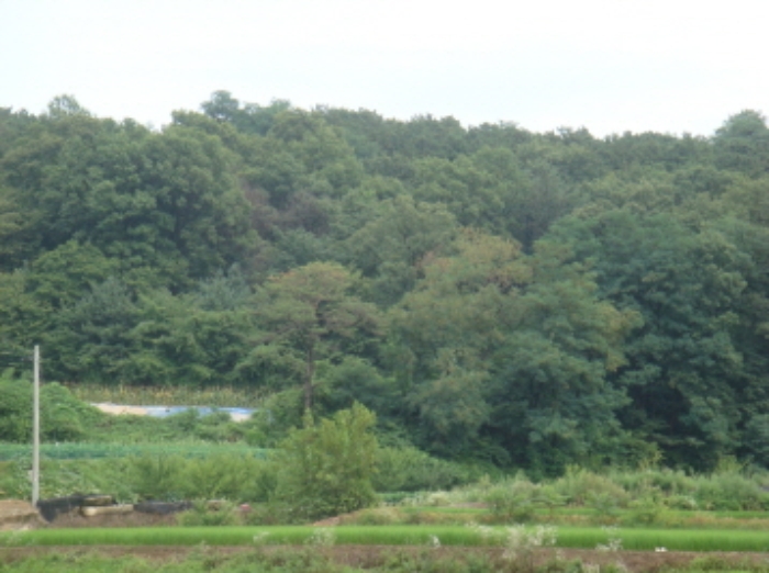 수원지법 2014타경38196-1 사진