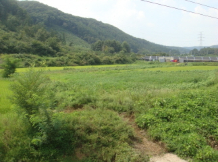 수원지법 2014타경38363-1 사진