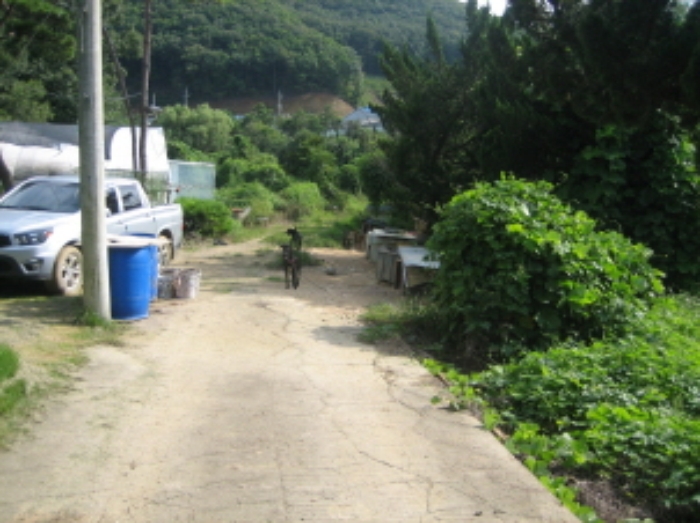 수원지법 2014타경38806-1 사진