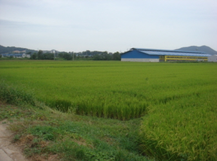 수원지법 2014타경40038-1 사진