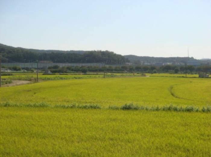 수원지법 2014타경41819-1 사진