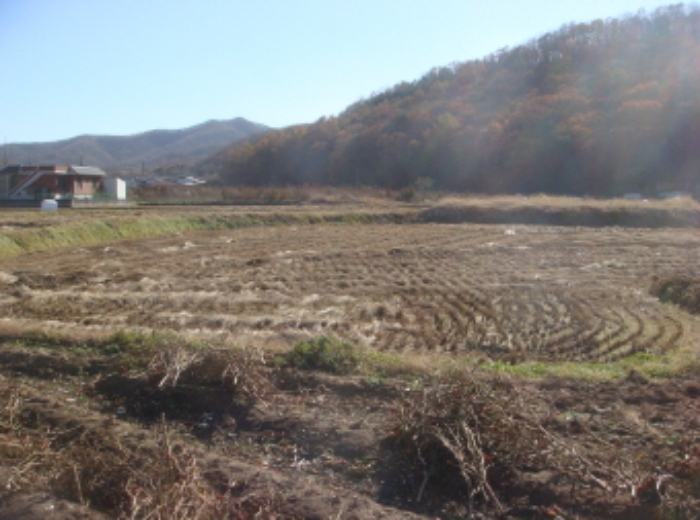 수원지법 2014타경52581-1 사진