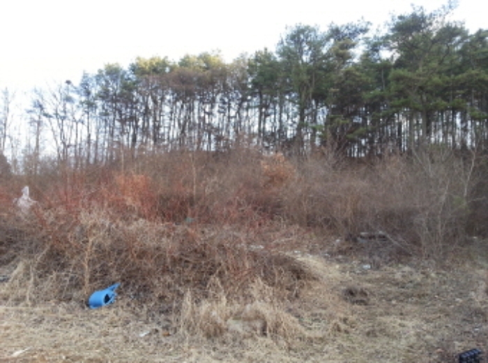 수원지법 2015타경6943-1 사진