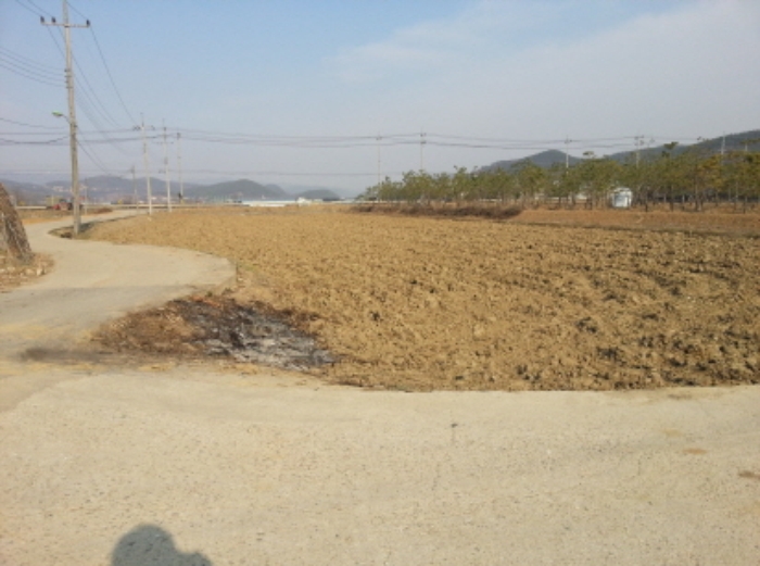 수원지법 2015타경8727-1 사진